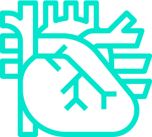 Alchimia sănătății | 12 luni